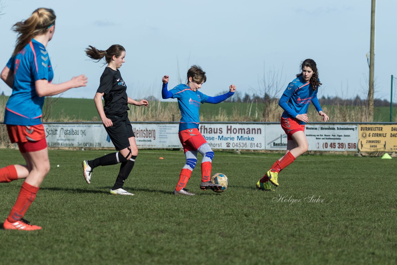 Bild 291 - C-Juniorinnen SV Steinhorst/Labenz - TSV Friedrichsberg-Busdorf : Ergebnis: 5:0